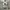 Vintage Y2K Hat Pria multicolor photo 2