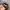 Vintage Y2K Hat Pria multicolor photo 3