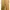 Carhartt Vintage Pria brown orange photo 3