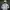 Gorpcore Track jacket Pria white photo 1