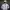 Gorpcore Track Jacket Pria White