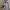 Gorpcore Track jacket Pria white photo 2