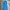 Dickies Skater Casual Casual Pants Pria Blue
