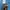 Dickies Skater Casual Casual pants Pria blue photo 6