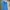 Dickies Skater Casual Casual pants Pria blue photo 2