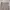 Dickies Skater Casual Casual pants Pria khaki photo 1