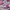 Nike Air Jordan Luxury Casual Sneakers Wanita white pink photo 2
