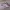 Nike Air Jordan Luxury Casual Sneakers Wanita White Pink
