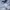 Polo Ralph Lauren Casual Short Pria white photo 3
