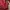 H&M Streetwear Bomber jacket Pria red photo 4