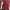 H&M Streetwear Bomber jacket Pria red photo 1