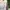 Sportswear Casual Track jacket Wanita white gray photo 5