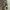 Trussardi Vintage Luxury Polo shirt Pria brown photo 5