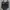 Luxury Bralette Wanita black photo 1