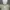 Cosplay Pakaian adat Evening dress Wanita cream photo 4