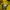have a good time Streetwear Sportswear T-shirt Pria yellow photo 4