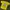 Have A Good Time Streetwear Sportswear T-shirt Pria Yellow