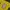have a good time Streetwear Sportswear T-shirt Pria yellow photo 2