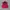 Streetwear Sportswear Vest Pria red photo 1