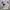 O'Neill Grunge Indie Casual shirt Pria white cream photo 1