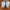 New Balance Sportswear Casual Sneakers Pria white photo 3