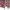 Indie Pakaian adat Kebaya Wanita pink blue photo 4