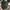 Adidas Casual Sandals & slide Pria white black photo 5