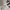 GAP Vintage Minimalist Hoody Pria white photo 1