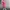 Lolita Avant Garde Babydoll dress Wanita pink photo 4