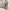 Beams Casual Formal shirt Pria tan khaki photo 5