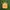 Fjällräven Casual Backpack Wanita yellow photo 1