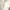 Abercrombie & Fitch Vintage Hoody Pria white photo 5