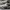 New Balance Streetwear Casual Sneakers Pria White Gray