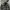 Acme De La Vie  Luxury Casual Sweater Pria white black photo 3