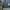 The North Face Casual Sweatshirt Pria green photo 3