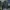 The North Face Casual Sweatshirt Pria green photo 1