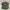 PALACE Casual Hat Pria Green