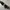 Coach Y2K Shoulder bag Wanita black gray photo 4