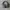 Coach Y2K Shoulder bag Wanita black gray photo 1
