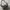 Coach Y2K Shoulder bag Wanita black gray photo 2