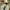 Polo Ralph Lauren Streetwear Casual Bomber jacket Pria tan photo 2
