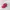 Topi Four Panel Canada EX Brand photo 1