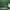 Minimalist Wanita green photo 2