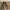 Casual Flat Wanita gray photo 1