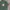 Champion Streetwear Sportswear T-shirt Pria green photo 4