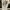ZARA Vintage Streetwear Wanita white photo 1