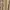 Quiksilver Casual Formal shirt Pria green brown photo 3