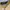 Billabong Streetwear Casual Polo shirt Pria white photo 2