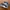 Puma Casual Sneakers Pria navy blue photo 1