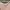Vintage Evening dress Wanita cream photo 5